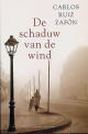 De schaduw van de wind